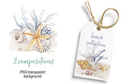 Shells, beach watercolor set., an Illustration by Larisa Maslova (Thumbnail 8 of 13)