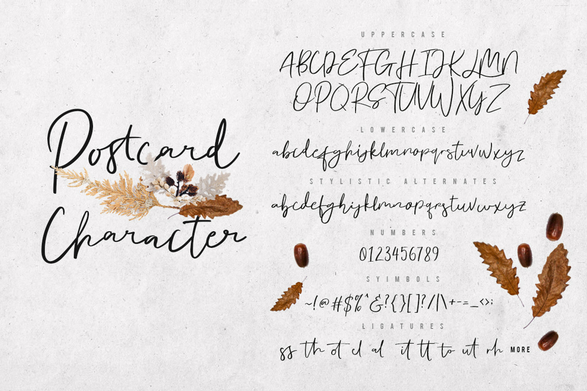 Postcard Script preview 6