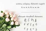 Abigail Script, a Script Font by unruffled (Thumbnail 3 of 7)