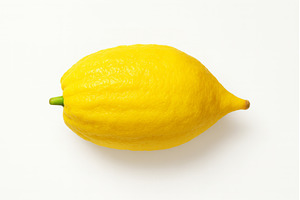 Yellow etrog, symbol of Jewish, a Holiday Photo by Ungvar Studio