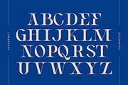 Vagly - Branding Logo Font, a Serif Font by Nirmana Visual (Thumbnail 9 of 11)