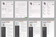 JOB WINNING RESUME - 50 TEMPLATES, a Resume Template by ResumeInventor (Thumbnail 30 of 184)