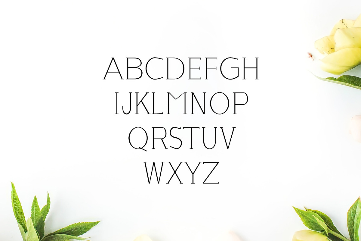 Lisandro Slab Serif Font preview 2