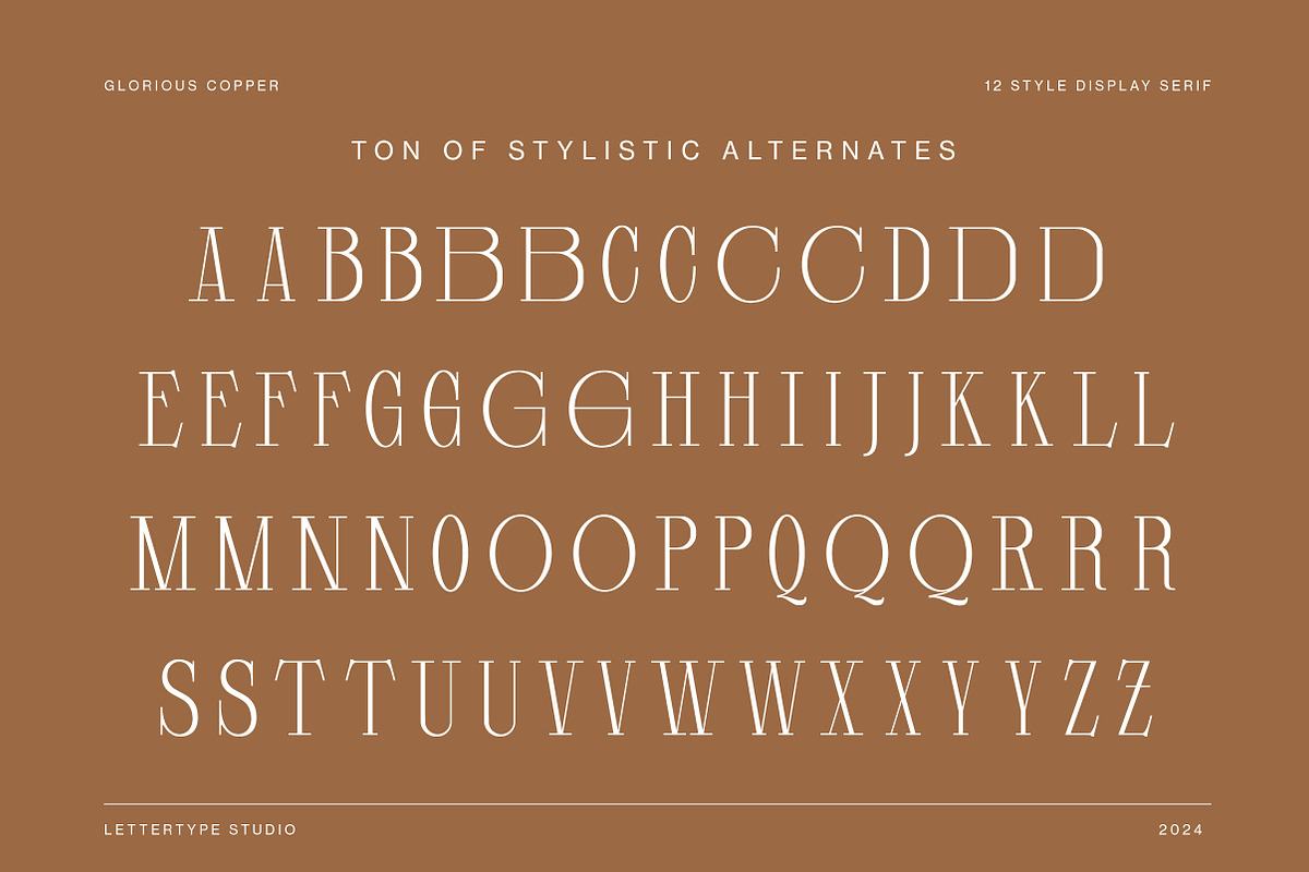Glorious Copper Family, a Serif Font by Lettertype Studio (Photo 9 of 20)
