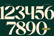 OV Treasure Retro Serif Font Family, a Serif Font by OV Type (Thumbnail 5 of 21)