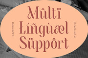 CS Blair – Art Nouveau Font, a Serif Font by Craft Supply Co. (Thumbnail 3 of 8)