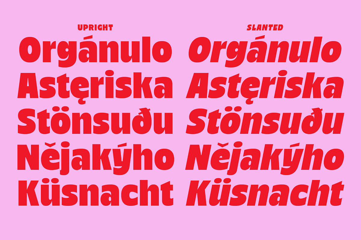 Nicka - Bold Display Sans, a Sans Serif Font by The Native Saint Club (Photo 5 of 16)