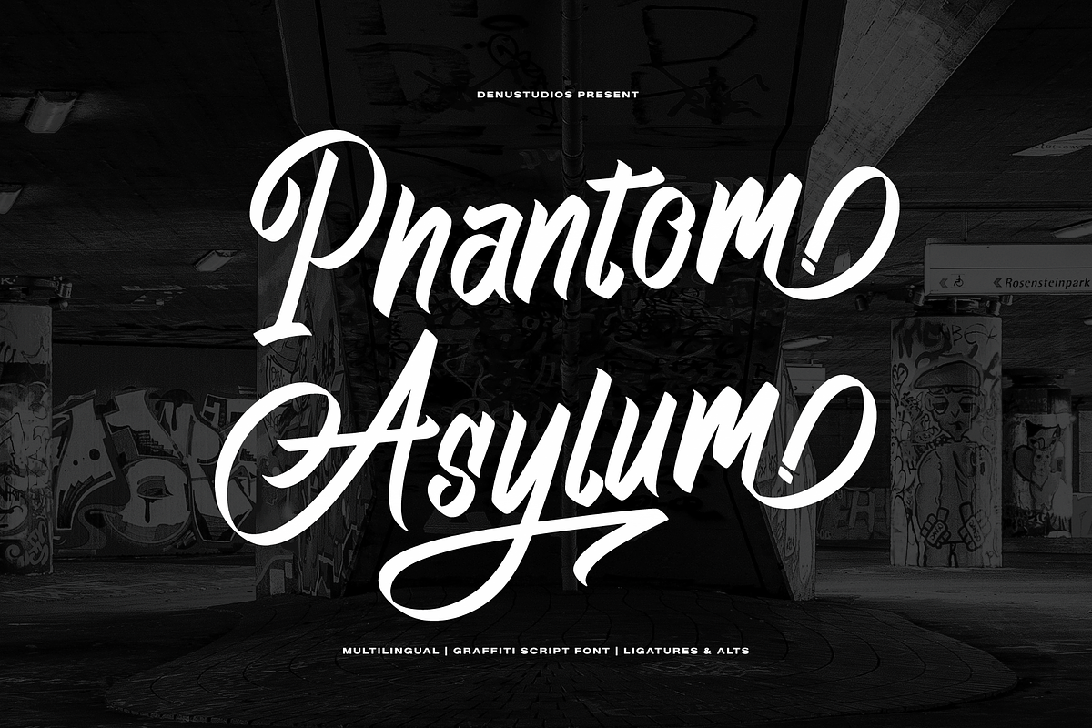 Phantom Asylum Graffiti Script Font, a Handwritten Font by Denustudios (Photo 1 of 12)