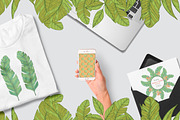 Tropical fruits collection, a Decorative Illustration by TashaDraw (Thumbnail 7 of 10)