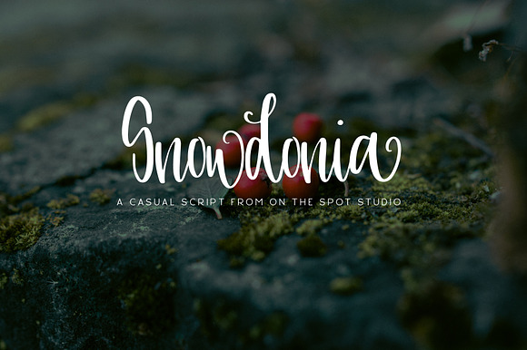 Snowdonia preview 7