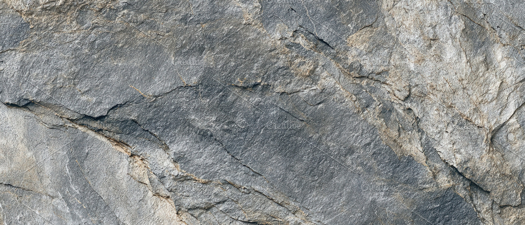 Close-up of rough gray stone surface with detailed cracks and na, an Animal Photo by Ales Munt