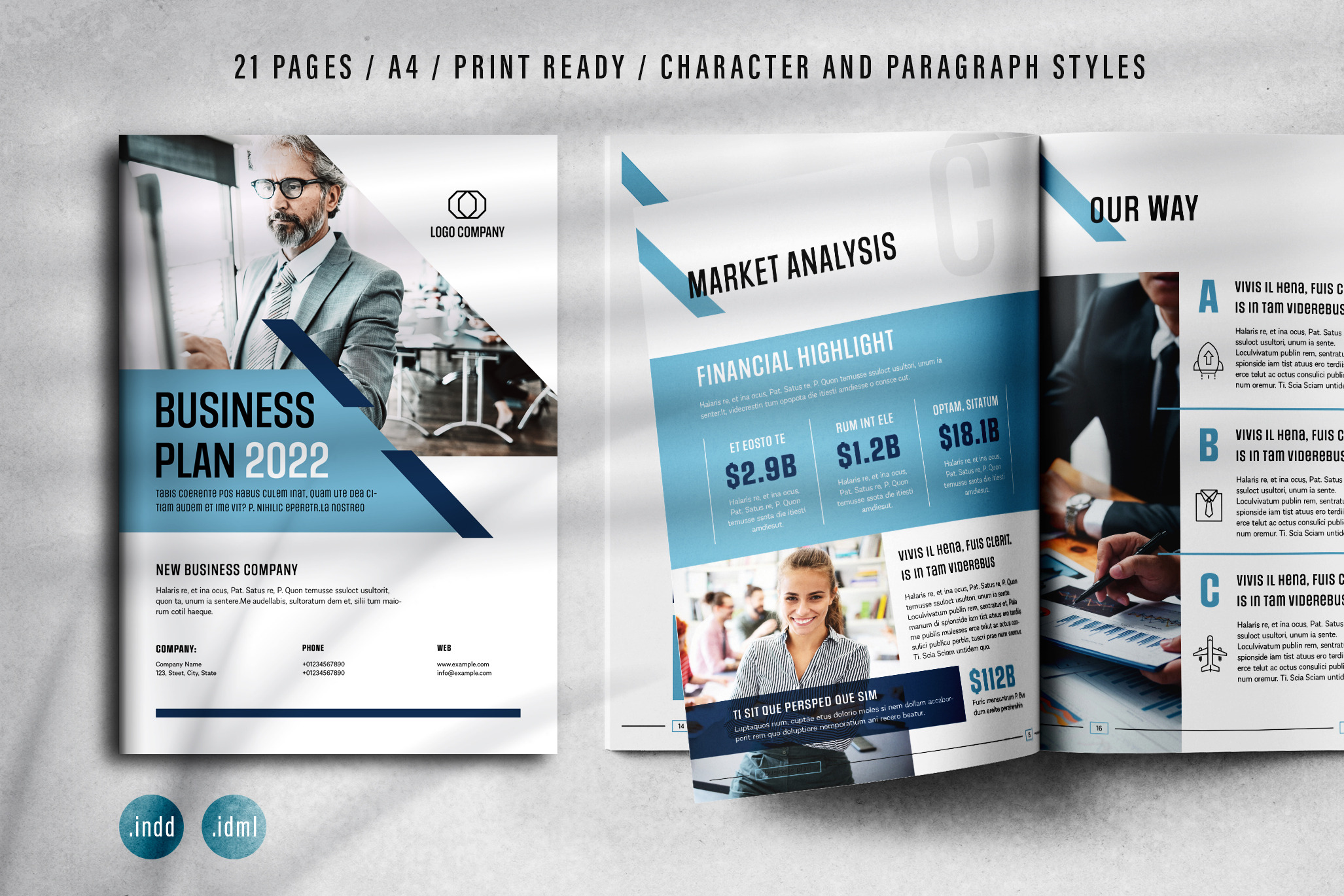 Business Plan Layout Temlpate