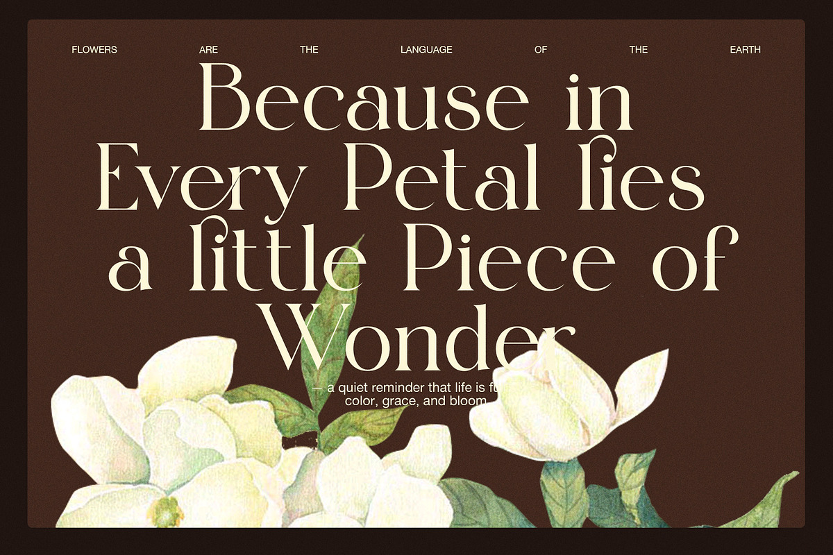 Elgins Modern Serif Font, a Serif Font by Elegant Font (Photo 6 of 8)