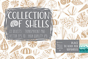 Collection of Shells, an Object Graphic by Nadia Emelianova (Thumbnail 1 of 5)
