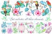 Big tropical bundle, an Illustration by artdreamer (Thumbnail 3 of 10)