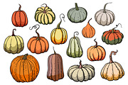 Pumpkins - vector clipart, a Seasonal Illustration by Glass Cat Design (Thumbnail 4 of 10)