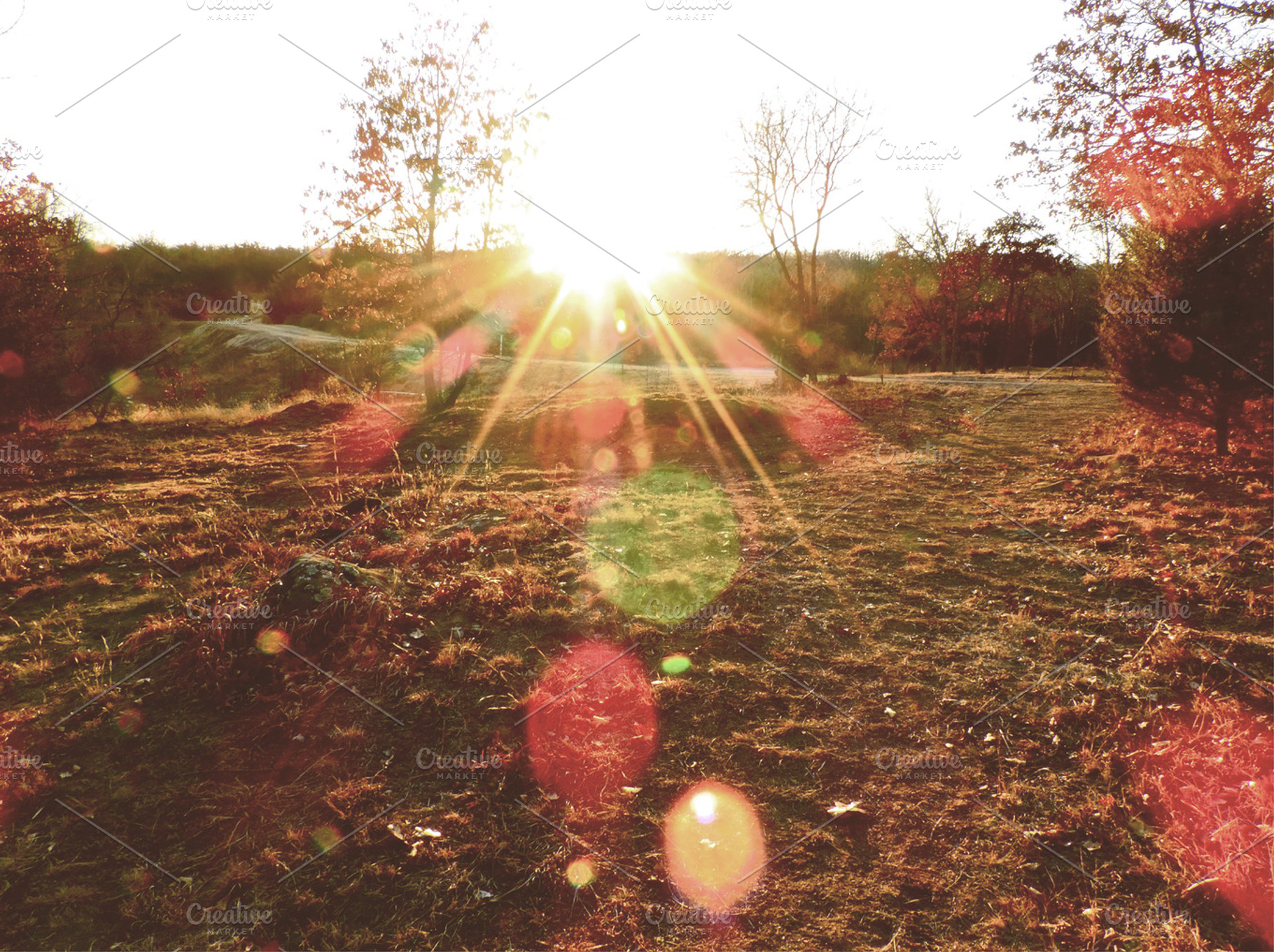 Sunset Lense Flare
