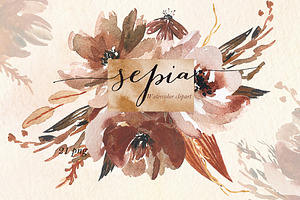 Sepia Flowers. Watercolor Clipart