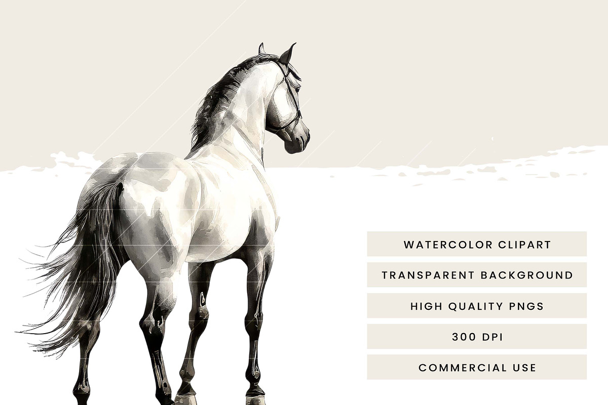 Watercolor Horses Clipart Bundle, an Animal Illustration by Design Scotch (Photo 7 of 8)