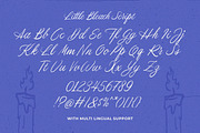 Little Bleach Handwritten Font Duo, a Handwritten Font by Letterhend Studio (Thumbnail 7 of 9)