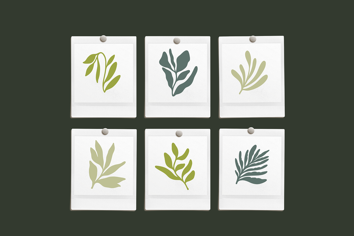 Abstract Leaf Vectors, an Object Graphic by Emma Webb Studio (Photo 6 of 6)