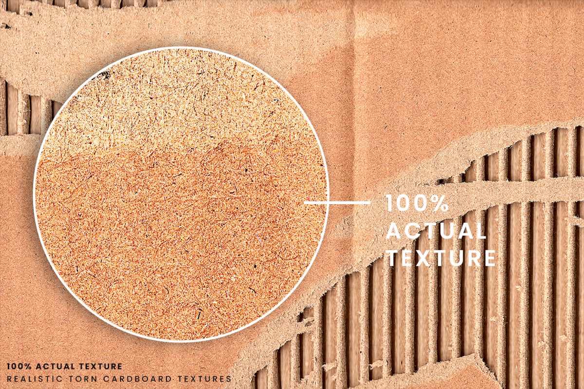 Realistic Torn Cardboard Textures, a Texture Graphic by Ary_ngeblur (Photo 2 of 6)
