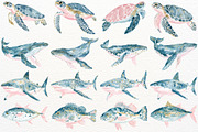 Undersea Ocean Animals PNG Clipart, an Animal Illustration by SugarCloudStudioArt (Thumbnail 2 of 7)