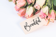 Montage Signature | Script Font, a Handwritten Font by Scratchones (Thumbnail 3 of 9)