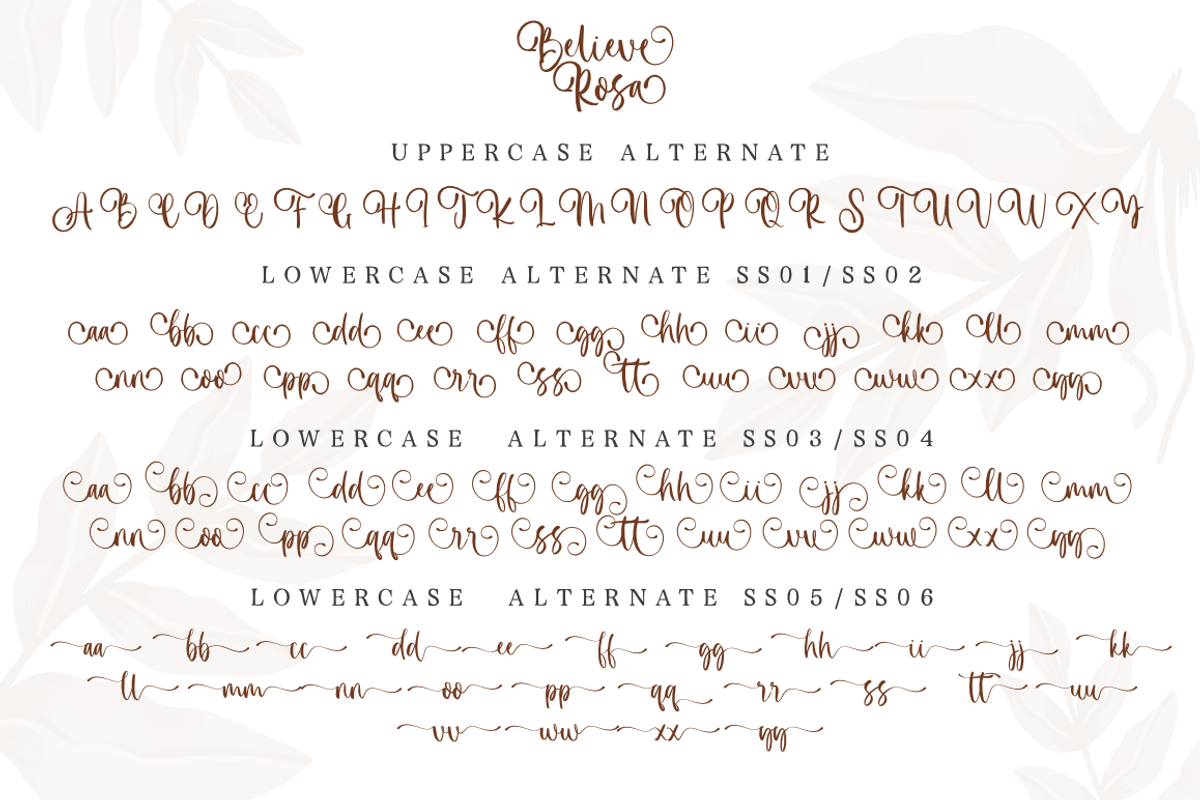 Believe Rosa - Font Duo, a Script Font by Silverdav (Photo 11 of 11)