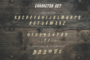 The Wolfman, a Symbol Font by Anxiety Studio (Thumbnail 19 of 19)