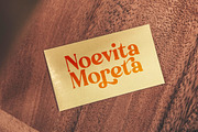 Engray Danton Modern Serif Font, a Serif Font by timelesstype.co (Thumbnail 7 of 20)