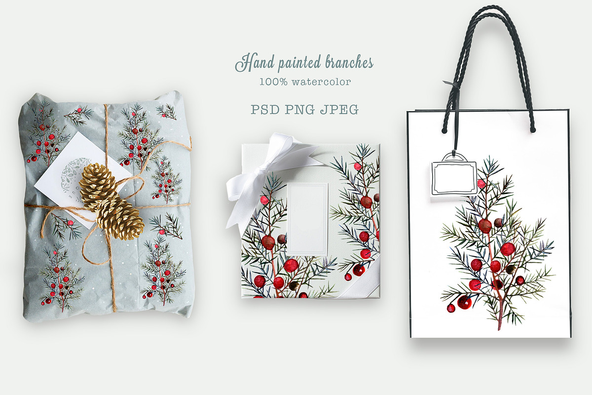 Watercolor juniper berries clipart, an Object Illustration by FleurArt (Photo 3 of 6)