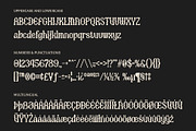 CS Berish Stamp, a Serif Font by Craft Supply Co. (Thumbnail 8 of 8)