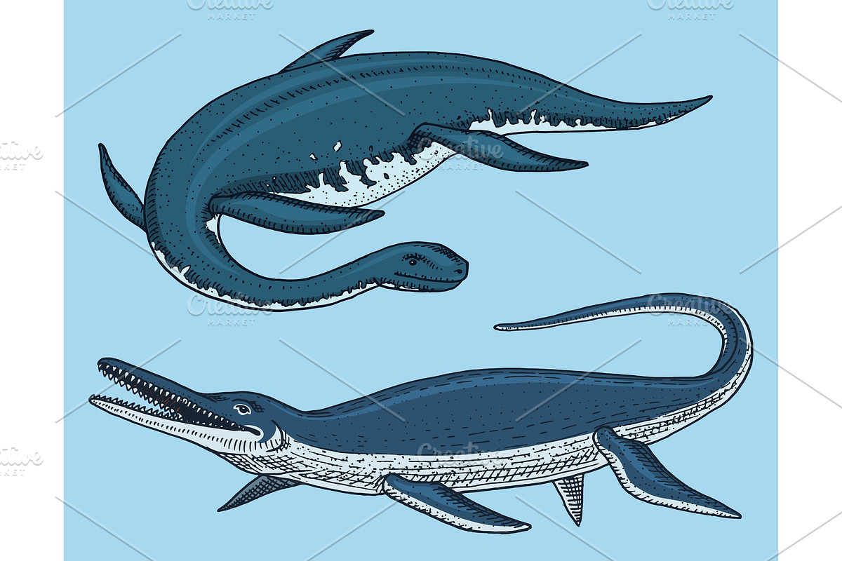 Dinosaurs Elasmosaurus, Mosasaurus, an Animal Illustration by Arthur Balitskiy