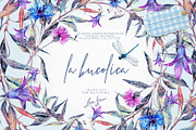 La Bucolica | Meadow Wildflowers Set, an Illustration by Inna Sinano (Thumbnail 9 of 9)