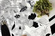 NIGHT MAGIC butterflies women flora, an Animal Illustration by ArtOLB (Thumbnail 11 of 14)