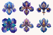 Iris Paisley Clipart Bundle, a Seasonal Illustration by Designworld (Thumbnail 3 of 10)