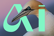 Gunter Display Font, a Sans Serif Font by That That Creative (Thumbnail 19 of 20)