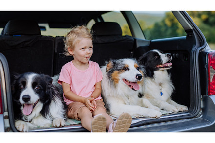 Little girl and her dogs sitting in, an Animal Photo by HalfPoint