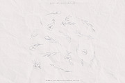 Fine Art Wild Flower Illustrations, a Texture Illustration by With Love Ethel (Thumbnail 4 of 7)