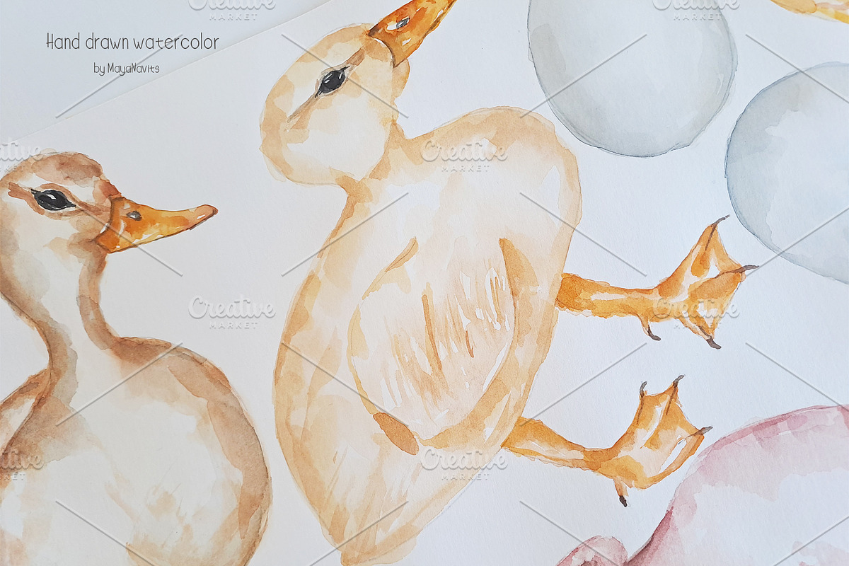Watercolor Life Cycle Collection, an Education Illustration by MayaNavits (Photo 9 of 15)