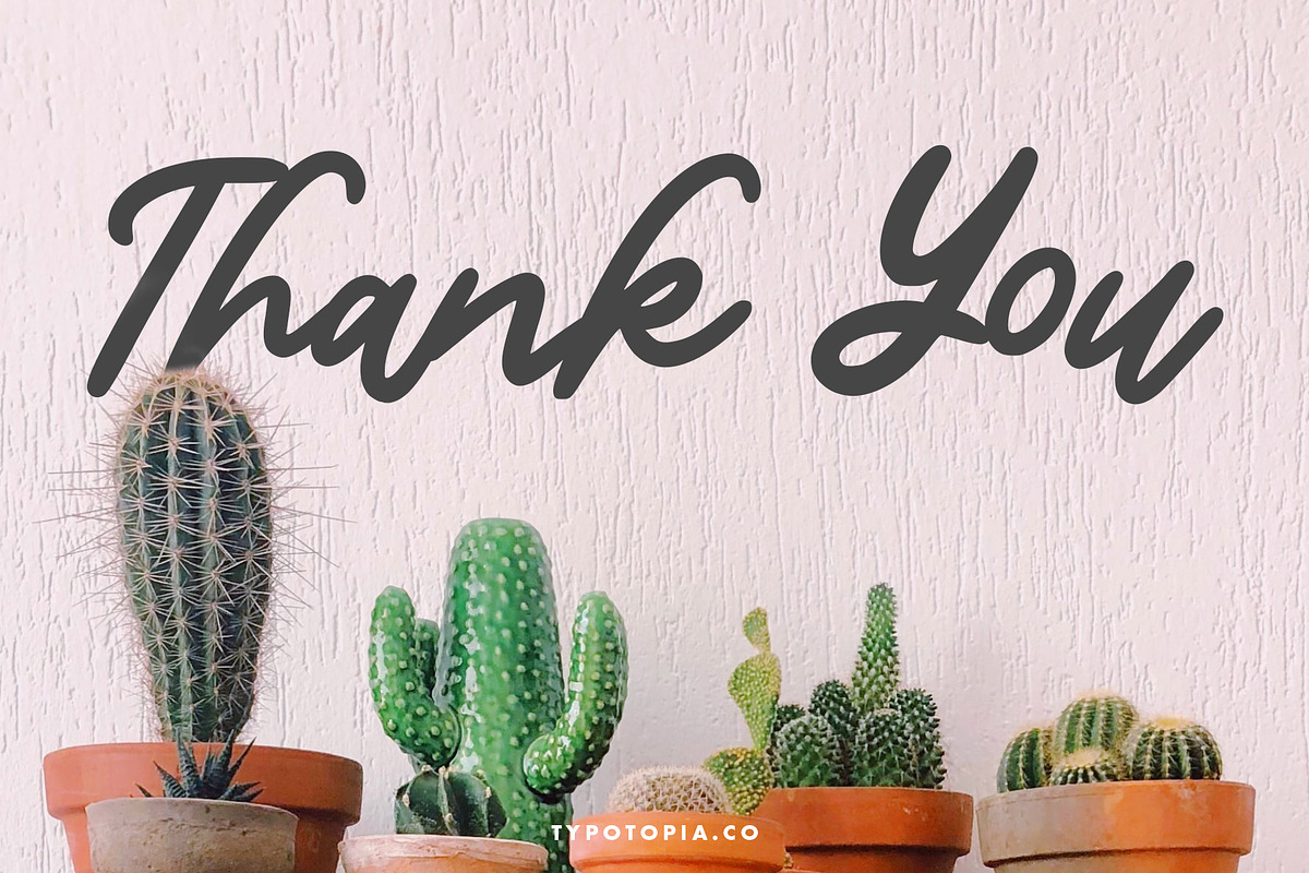 Sunday Handwritten Script Font, a Script Font by edukka (Photo 7 of 7)
