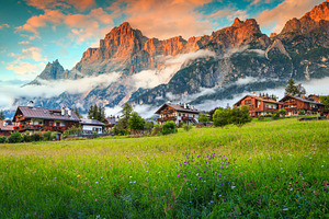 Spring alpine landscape with flowers, a Nature Photo by Alpine Dreams