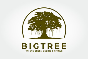 Ancient Tree Illustration in Vintage, a Branding & Logo Template by PrastHF