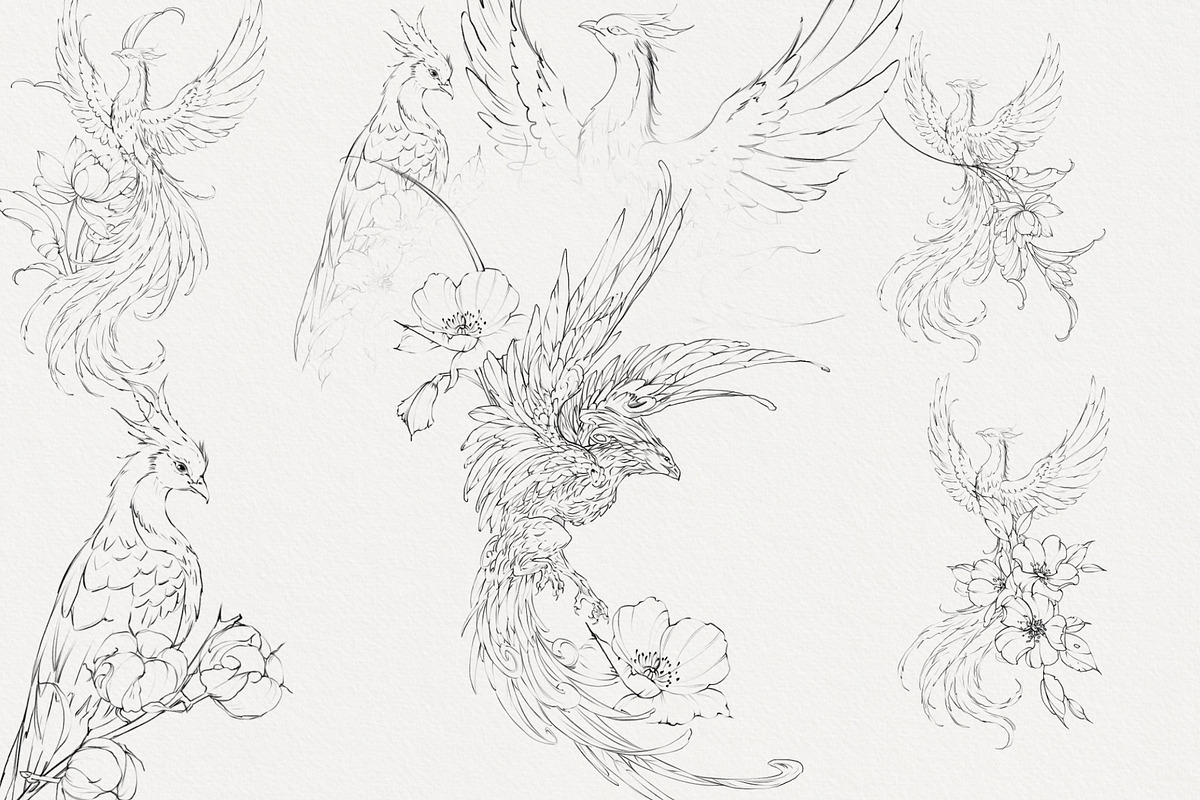 Procreate Phoenix stamps with flower, a Brush Add-On by AnnaPolitmerskaja (Photo 5 of 5)
