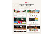 LIQUORY WINE SHOP SHOPIFY THEME, a Landing Page Template by apollotheme (Thumbnail 4 of 9)
