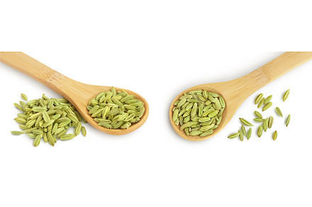 Dried fennel seeds in wooden spoon, a Food & Drink Photo by NataPhoto