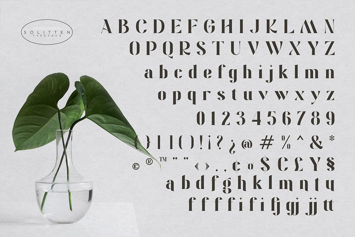 Solitten | Elegant Typeface, a Serif Font by Almeera Std (Photo 4 of 10)