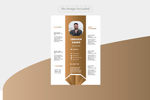 Luxury and simple CV