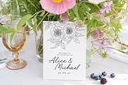 Peonies Vector Illustrations, a Decorative Illustration by Emma Webb Studio (Thumbnail 8 of 9)